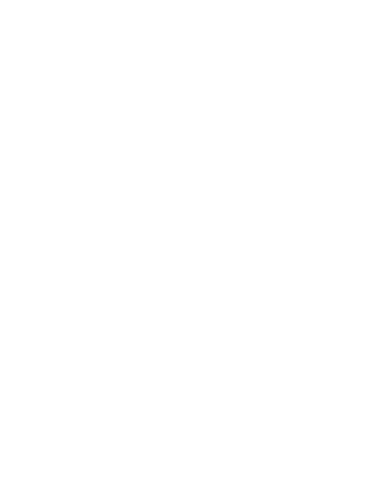 DPMPTSP Kota Metro